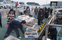 091230_fishermansmarket.JPG